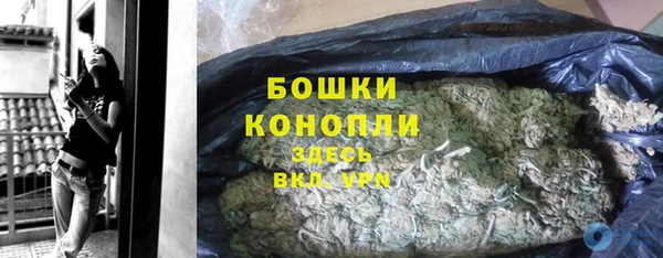 крисы Пересвет
