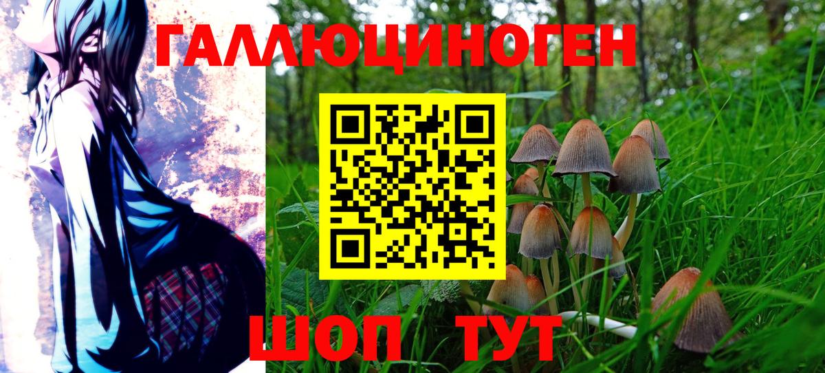 Галлюциногенные грибы Magic Shrooms Сосновоборск
