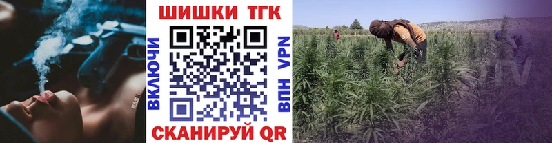 где купить наркоту  Сосновоборск  Марихуана Ganja 
